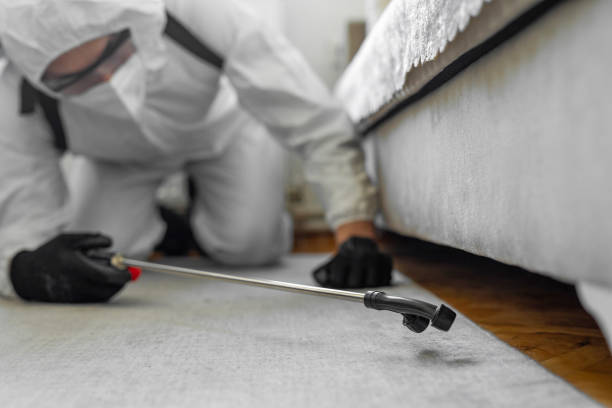 Professional Bed Bug Control technician working in Woodson County County, KS